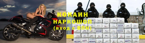 бошки Каменка