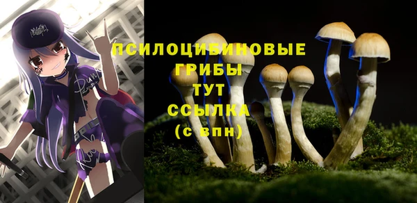 марки nbome Карпинск